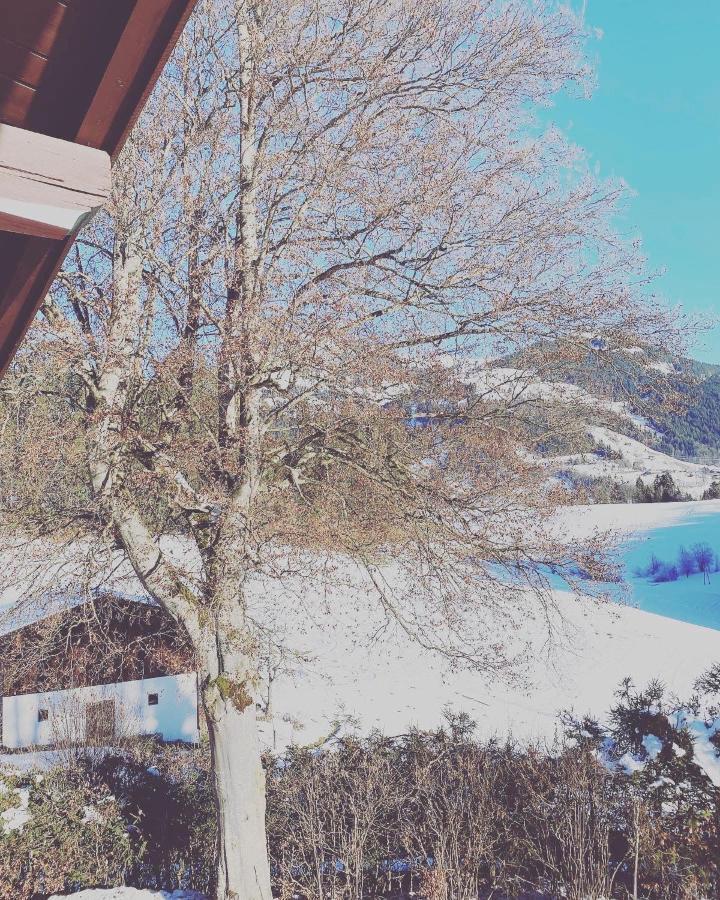 Hof Oberhaus Farm stay