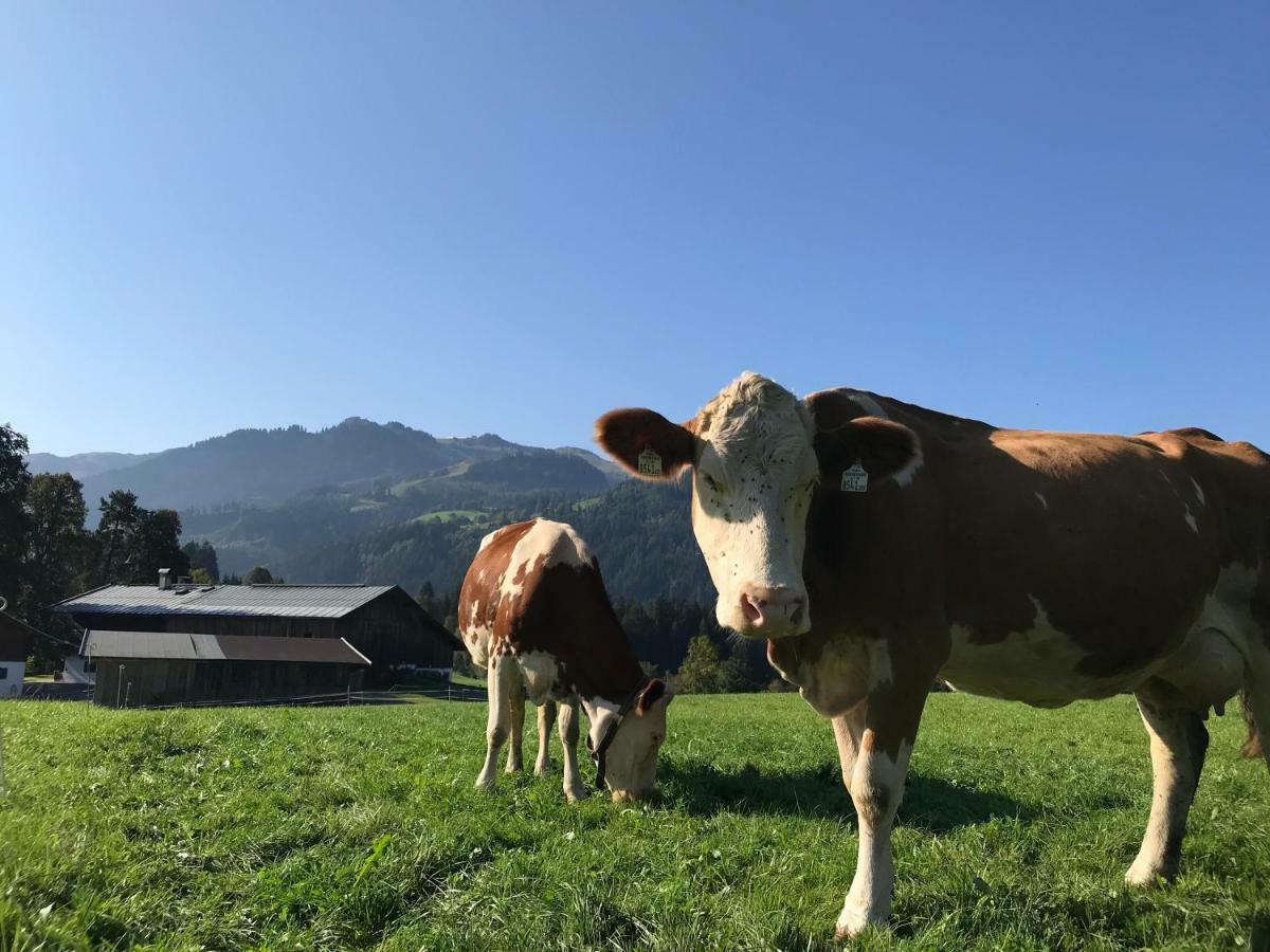 Farm stay Hof Oberhaus Kitzbuhel